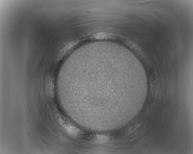 X0000080730592200612221255