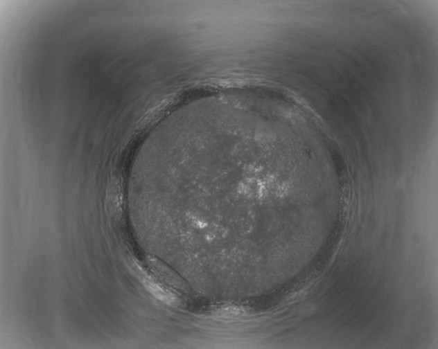 X0000080730593200612221255