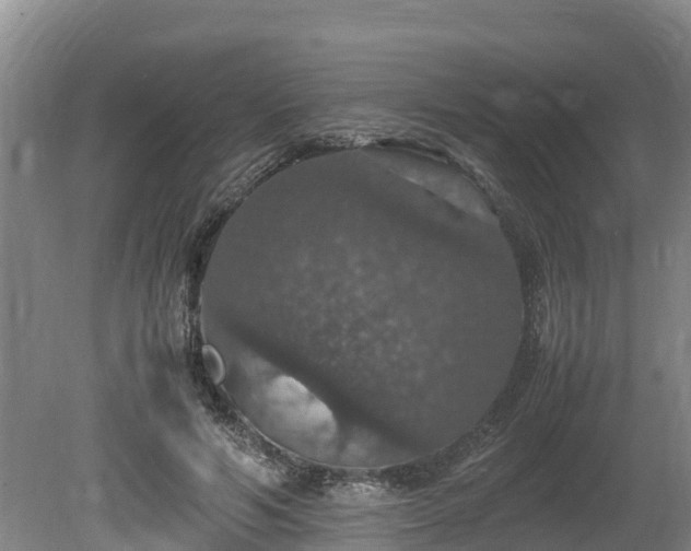 X0000080730594200612221255