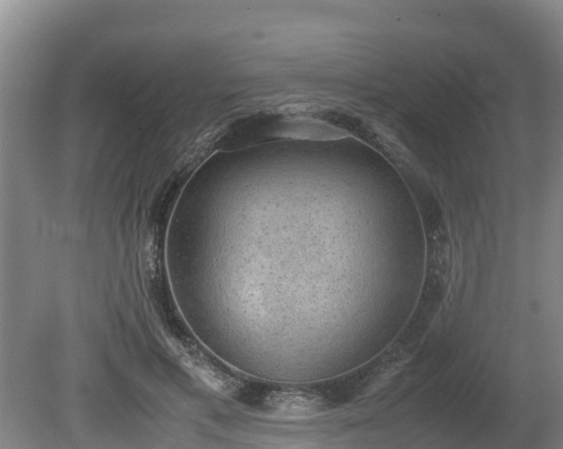 X0000080730597200612221255