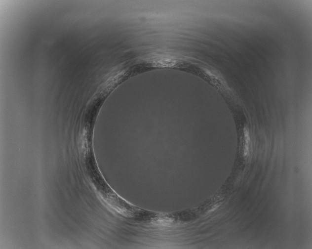 X0000080730598200612221255