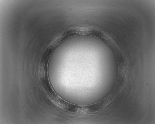 X0000080730599200612221255