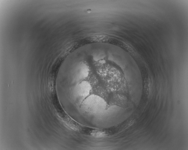 X0000080730602200612221255