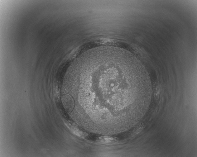 X0000080730607200612221255