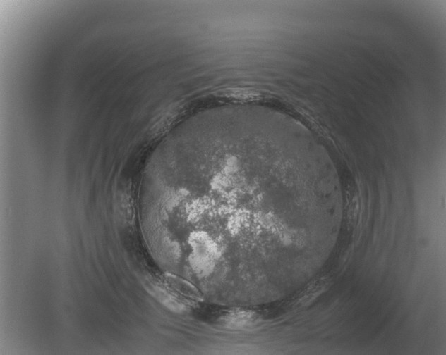 X0000080730609200612221255