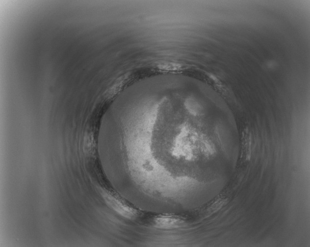 X0000080730614200612221254