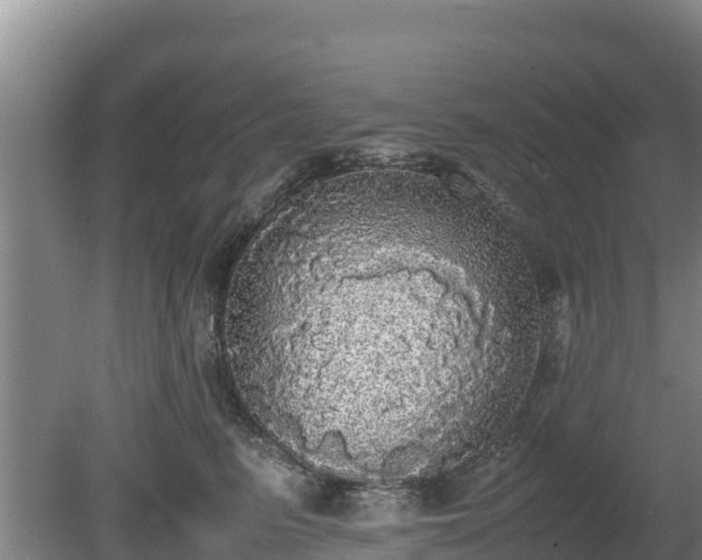 X0000080730615200612221254