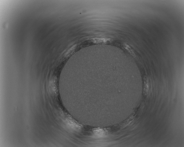 X0000080730616200612221254