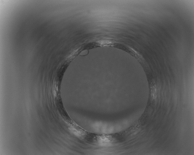 X0000080730618200612221254