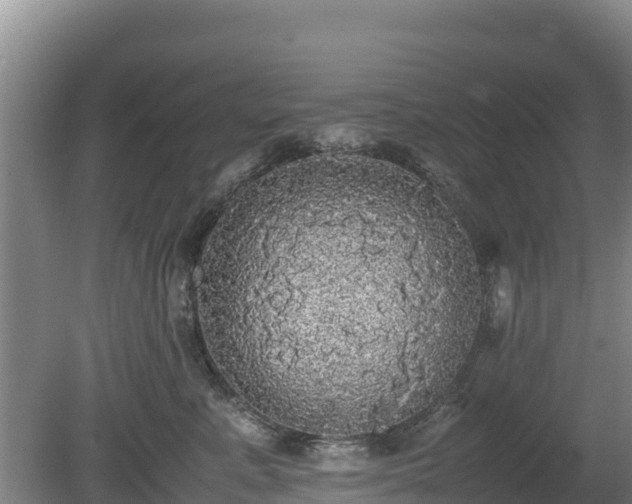 X0000080730619200612221254