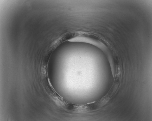 X0000080730621200612221254