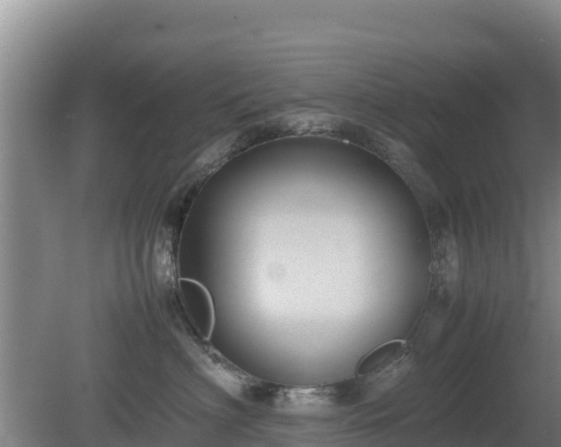 X0000080730622200612221254