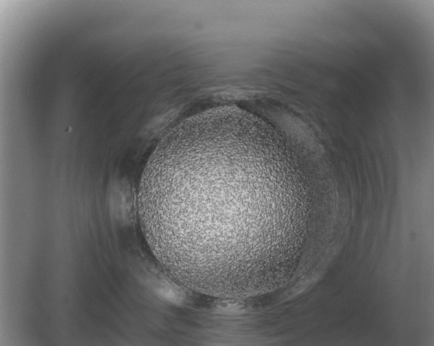 X0000080730624200612221254