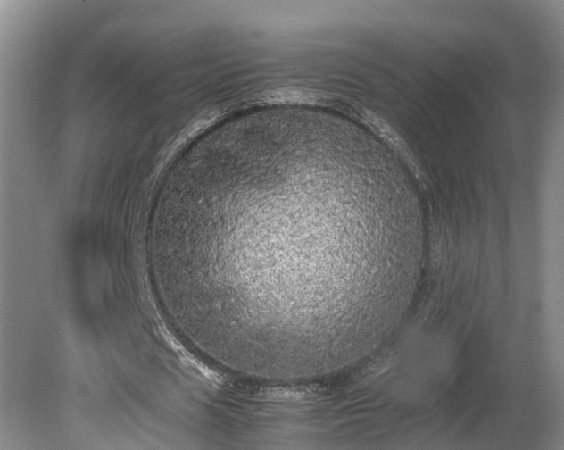 X0000080730625200612221253