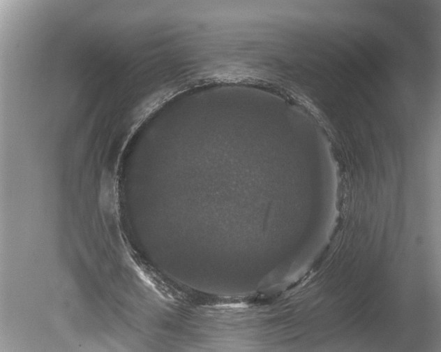 X0000080730626200612221254