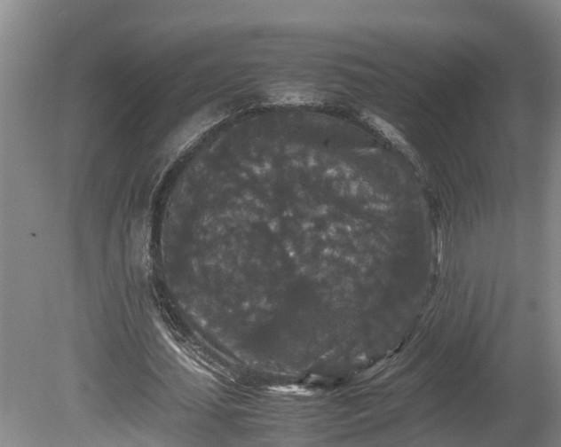 X0000080730627200612221254