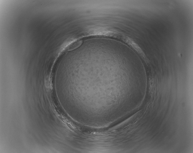 X0000080730628200612221254