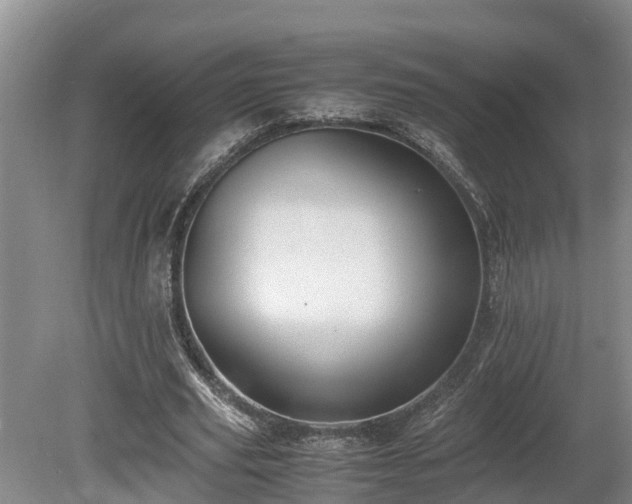 X0000080730629200612221254