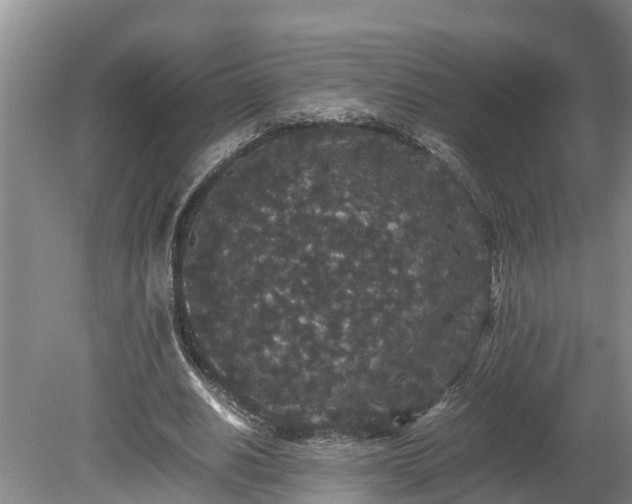 X0000080730630200612221254