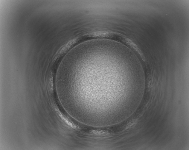 X0000080730633200612221254