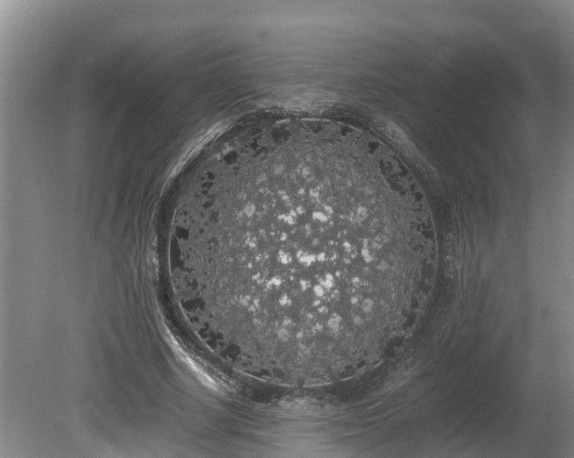 X0000080730634200612221254