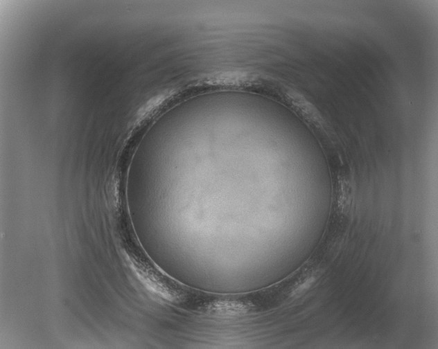 X0000080730636200612221254