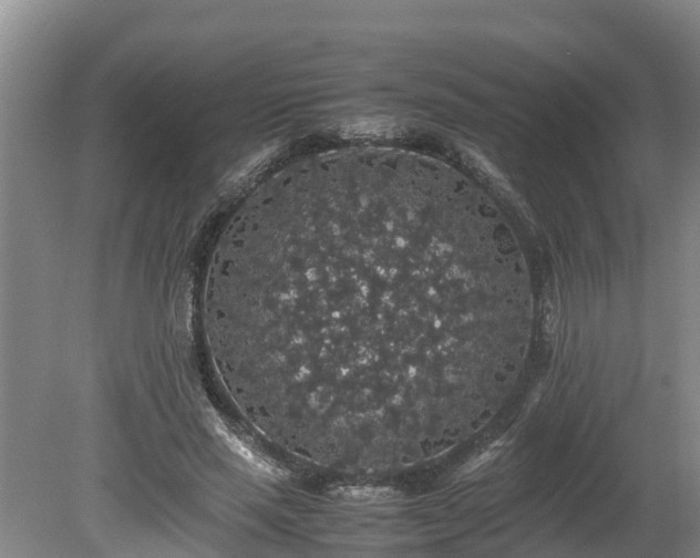 X0000080730637200612221254