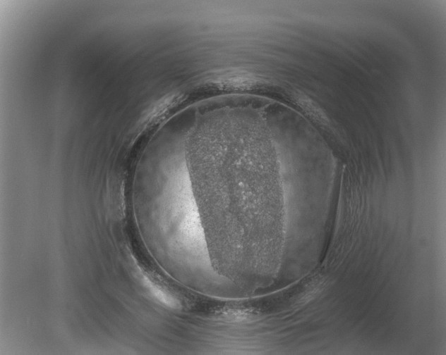 X0000080730638200612221254