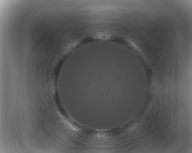 X0000080730641200612221254