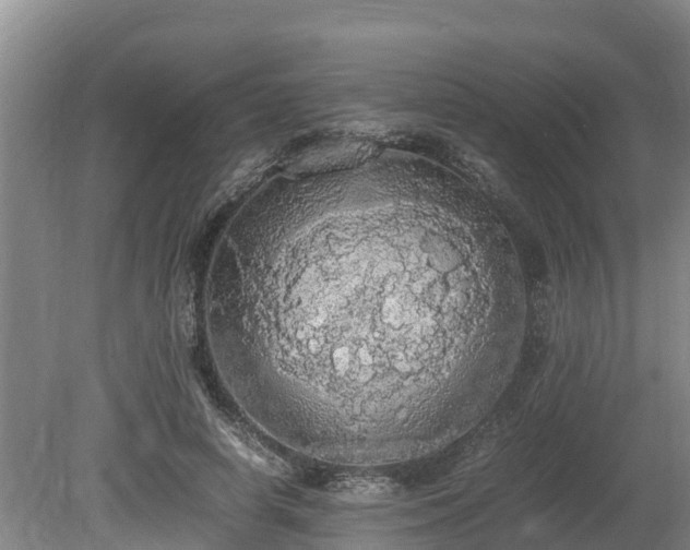 X0000080730642200612221254