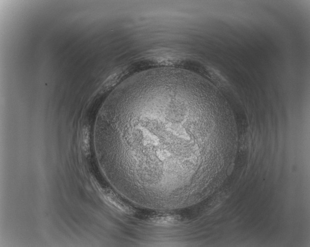 X0000080730646200612221254