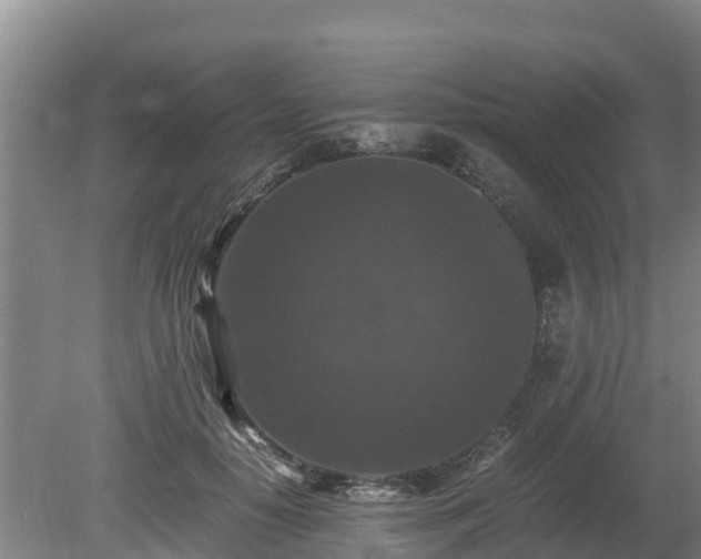 X0000080730650200612221254