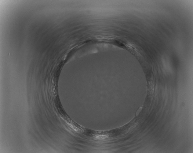 X0000080730653200612221254