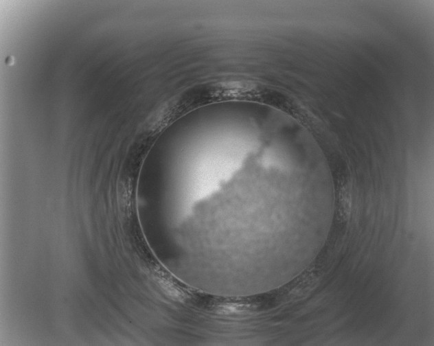 X0000080730657200612221254