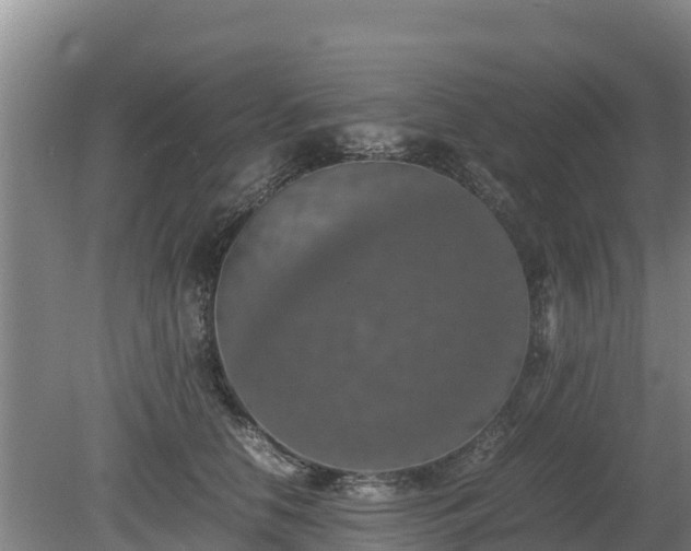 X0000080730658200612221254