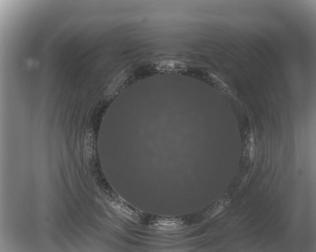 X0000080730659200612221254