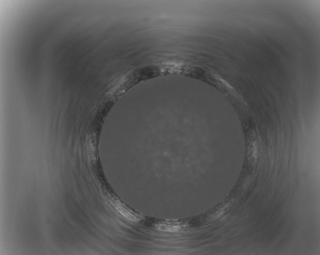 X0000080730661200612221254