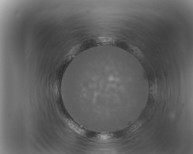 X0000080730662200612221254