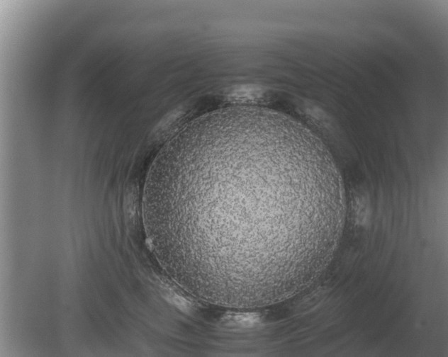 X0000080730665200612221254