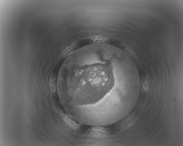 X0000080730666200612221254