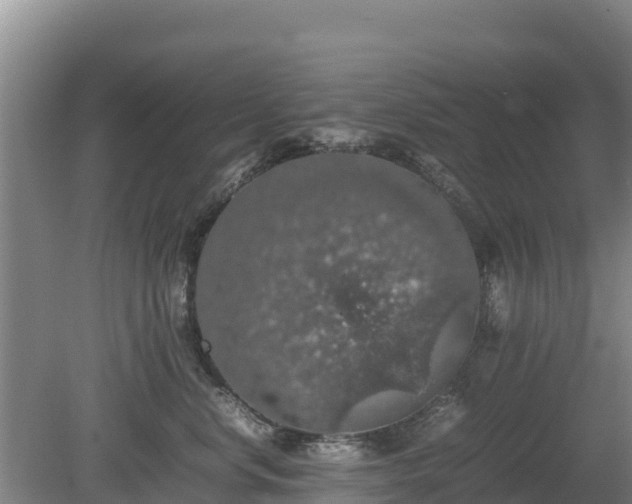 X0000080730668200612221254