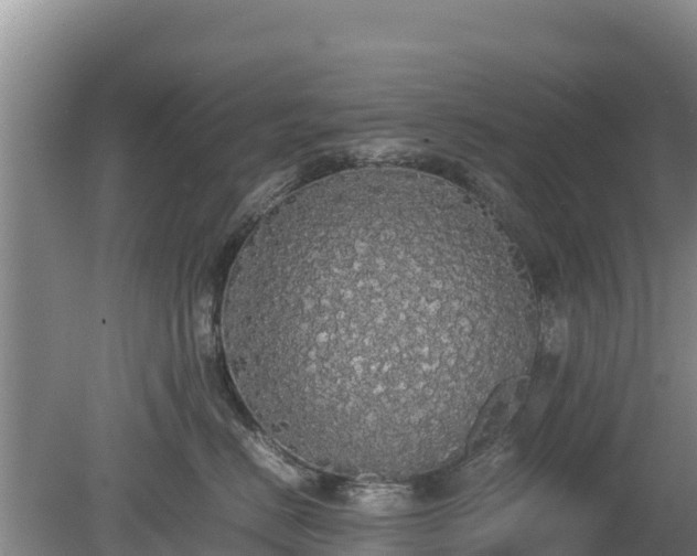 X0000080730670200612221254