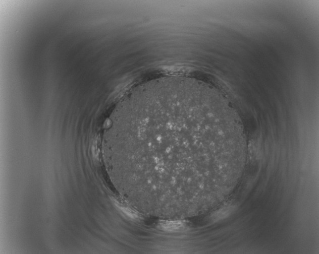 X0000080730671200612221254