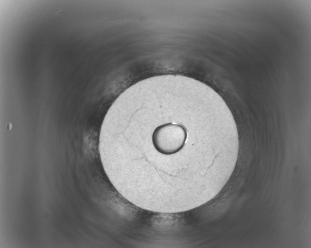 X0000080730672200612221254