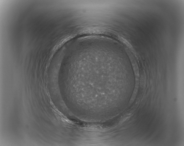 X0000080730673200612221253