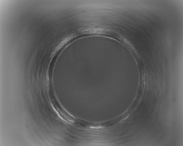 X0000080730674200612221253