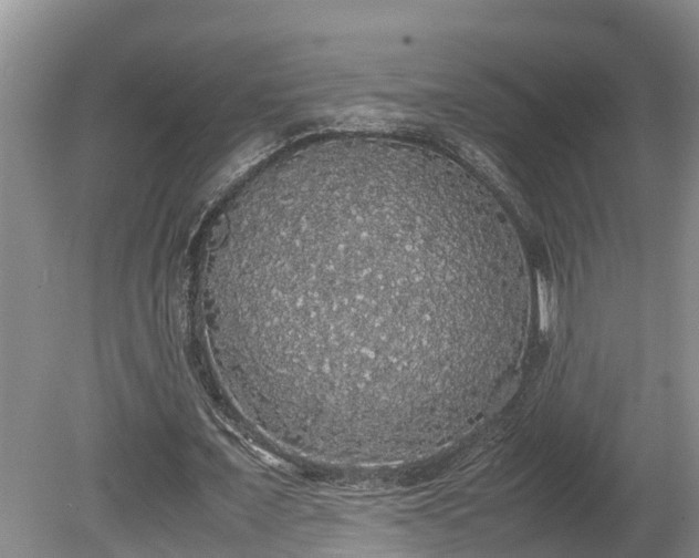 X0000080730675200612221253