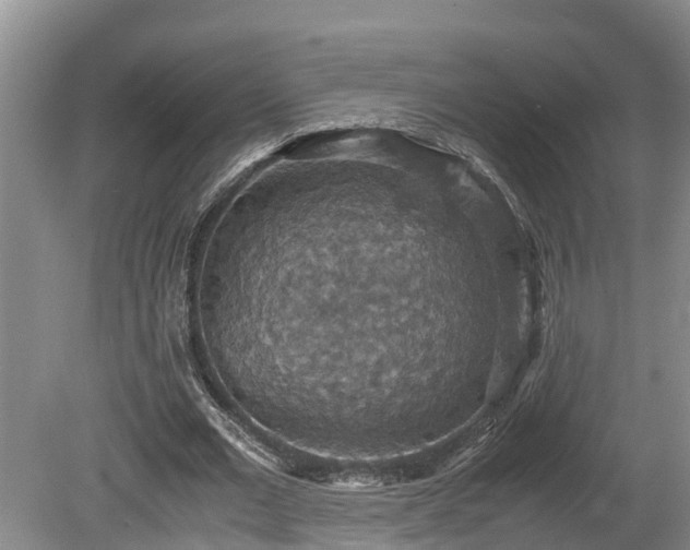 X0000080730677200612221253