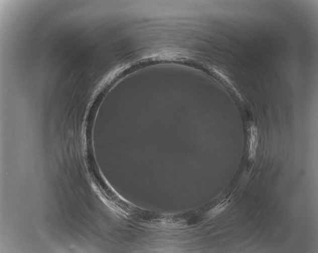 X0000080730678200612221253