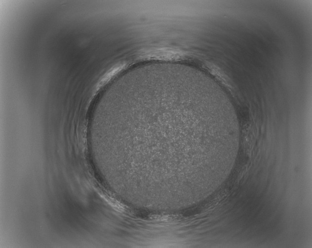 X0000080730679200612221253